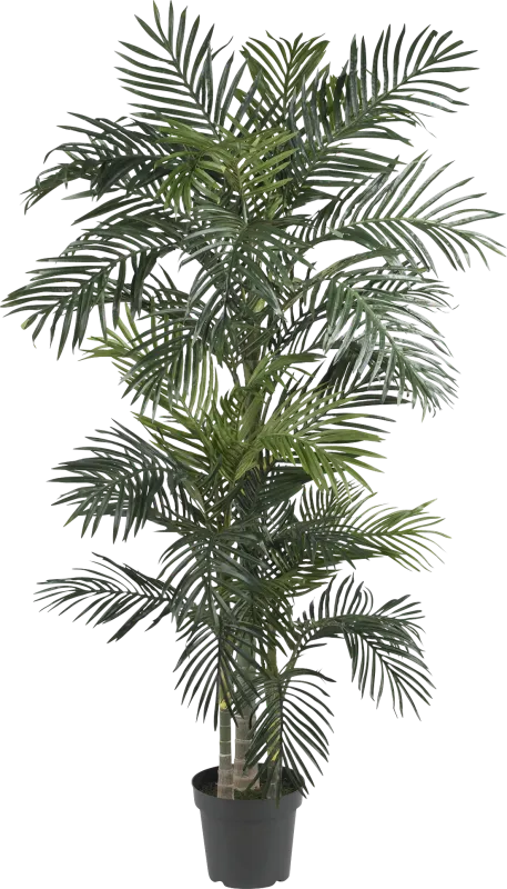 Alyjah Green Palm Silk Tree