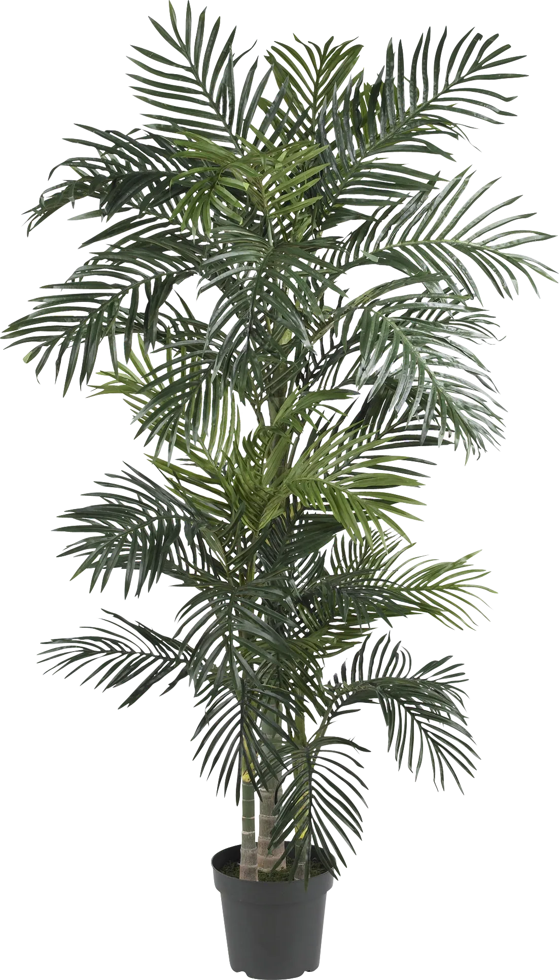 Alyjah Green Palm Silk Tree - Image 1