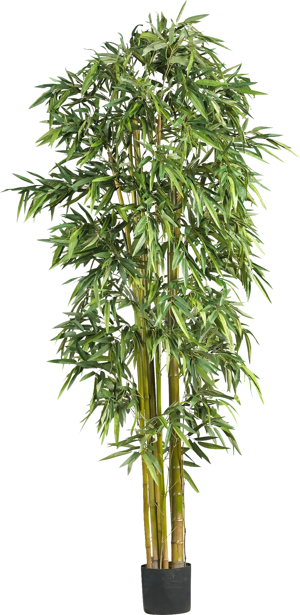 Kodha Green Bamboo Silk Tree - Image 1