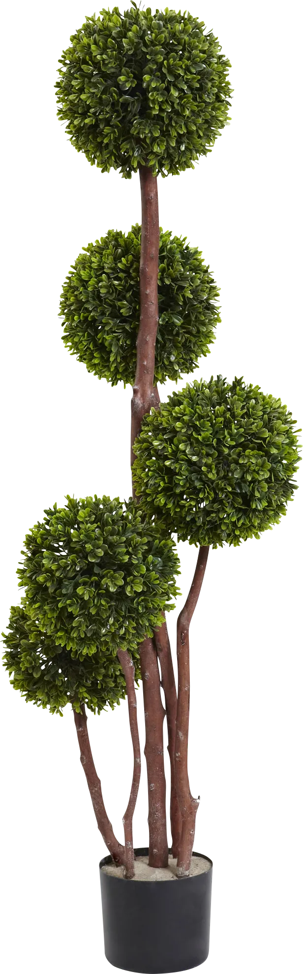 Kenia Green Boxwood Indoor/Outdoor Silk Tree - Thumbnail - Image 1