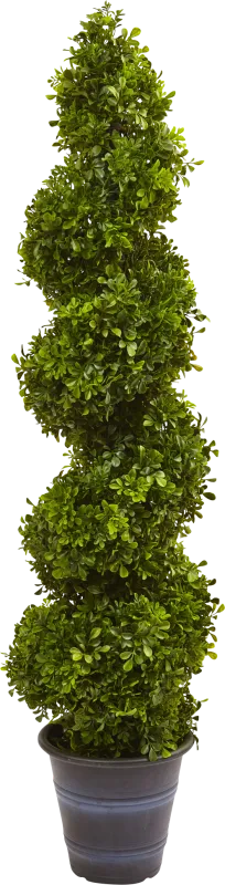 Aleyna Green Boxwood Indoor/Outdoor Silk Tree