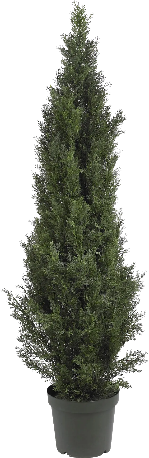 Brinlee Green Cedar Indoor/Outdoor Silk Tree - Thumbnail - Image 1