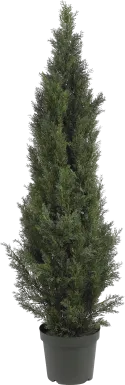 Brinlee Green Cedar Indoor/Outdoor Silk Tree