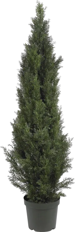 Brinlee Green Cedar Indoor/Outdoor Silk Tree