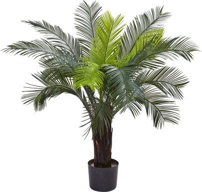 Markayla Green Cycas Indoor/Outdoor Silk Tree