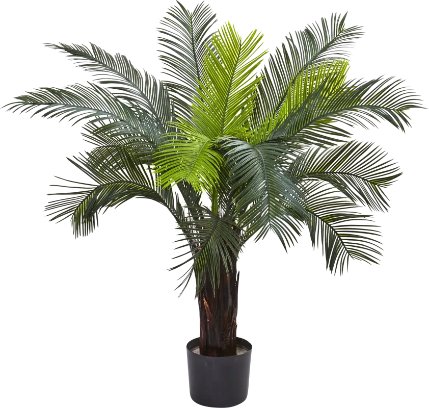 Markayla Green Cycas Indoor/Outdoor Silk Tree