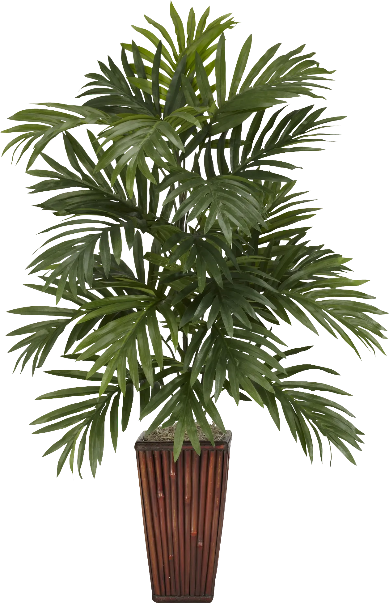 Shyia Green Palm Silk Tree - Thumbnail - Image 1