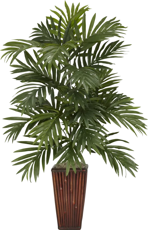 Shyia Green Palm Silk Tree