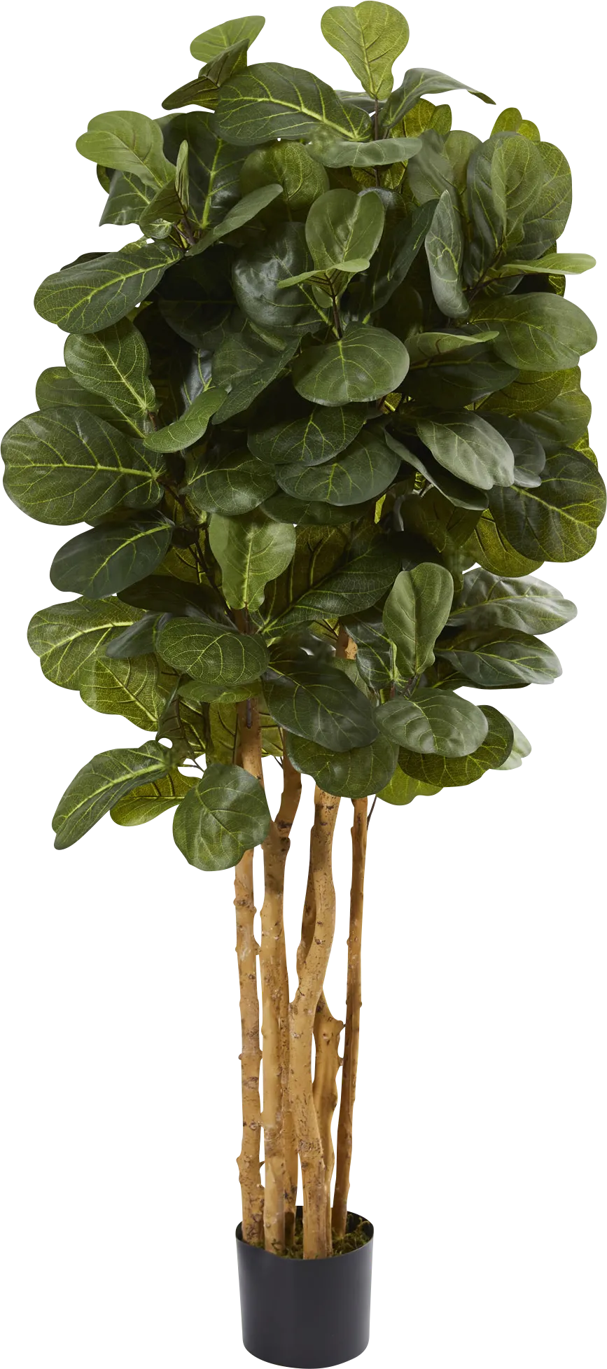 Kaiyah Green Fiddle Leaf Silk Tree - Image 1