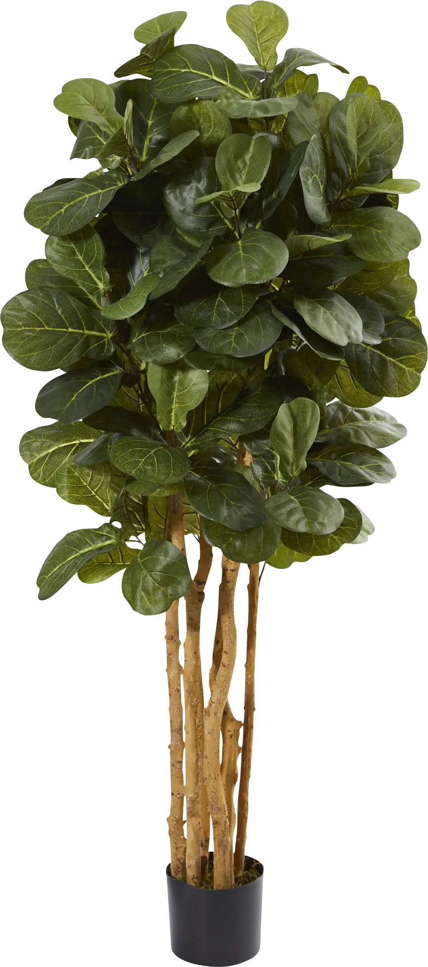 Kaiyah Green Fiddle Leaf Silk Tree