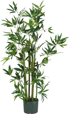 Akira Green Bamboo Silk Tree