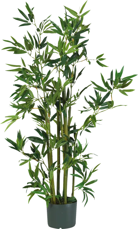 Akira Green Bamboo Silk Tree