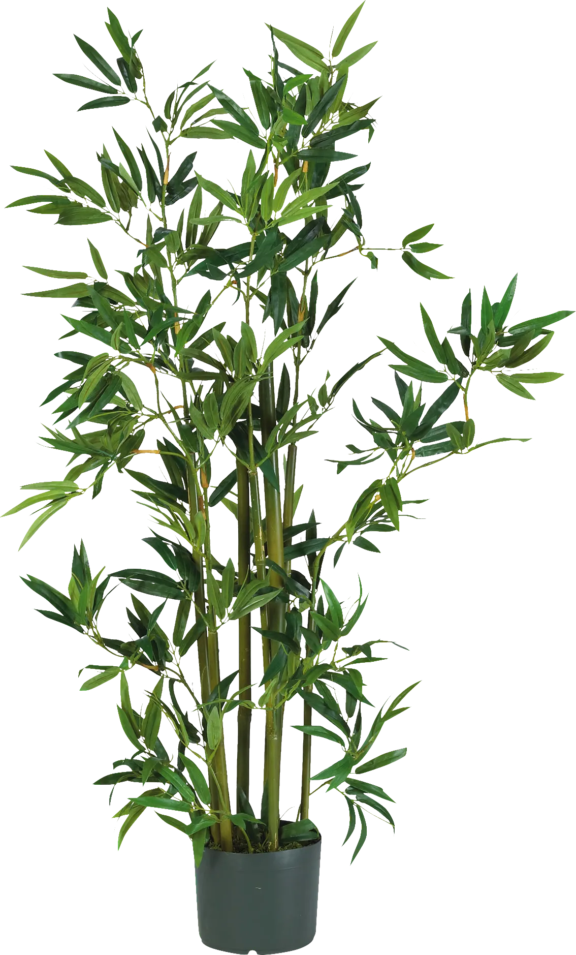 Akira Green Bamboo Silk Tree - Image 1