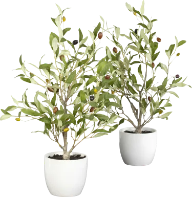 Kyden Green Olive Set of 2 Silk Tree