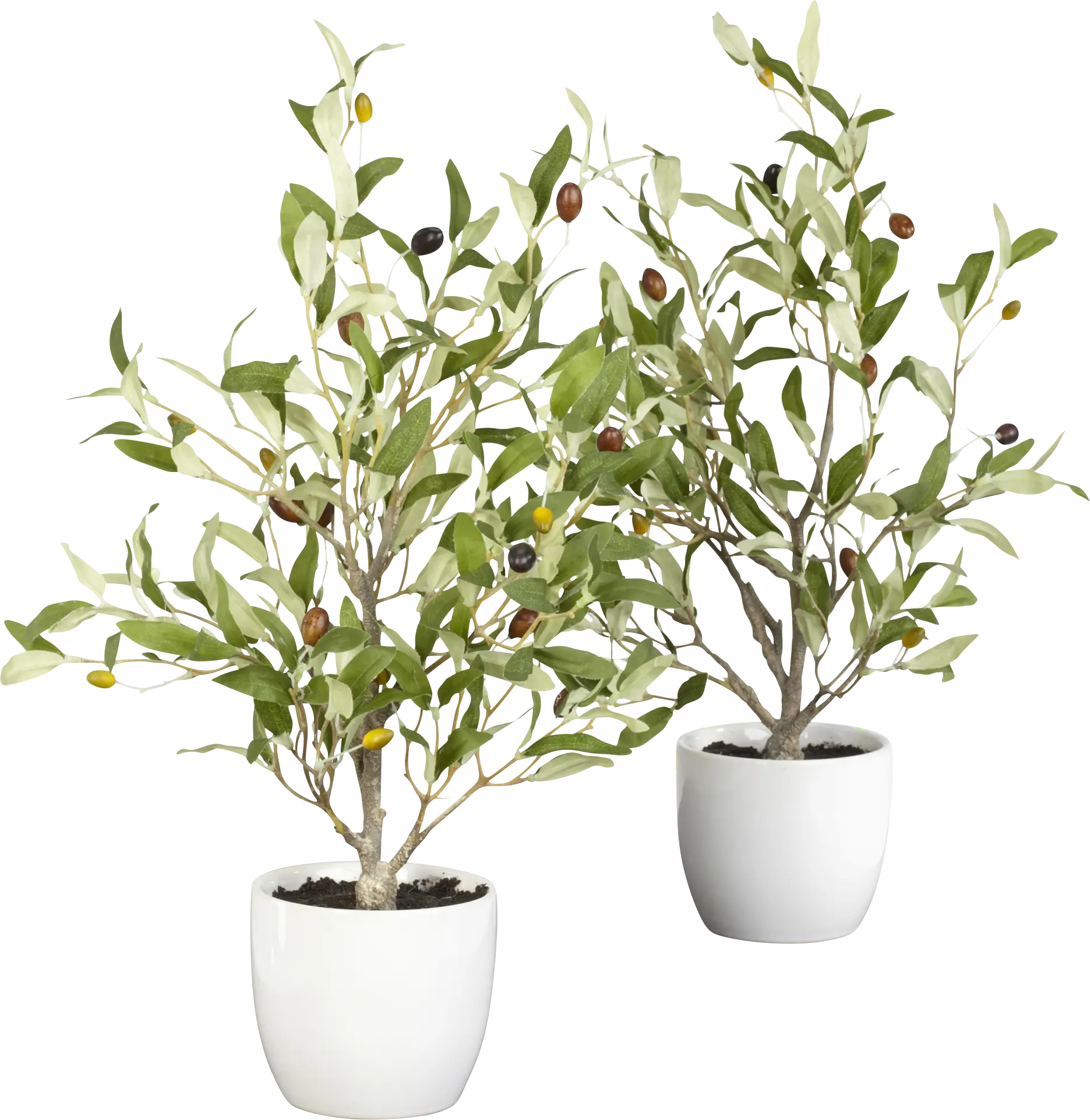 Kyden Green Olive Set of 2 Silk Tree
