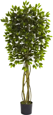 Skylia Green Ficus Indoor/Outdoor Silk Tree