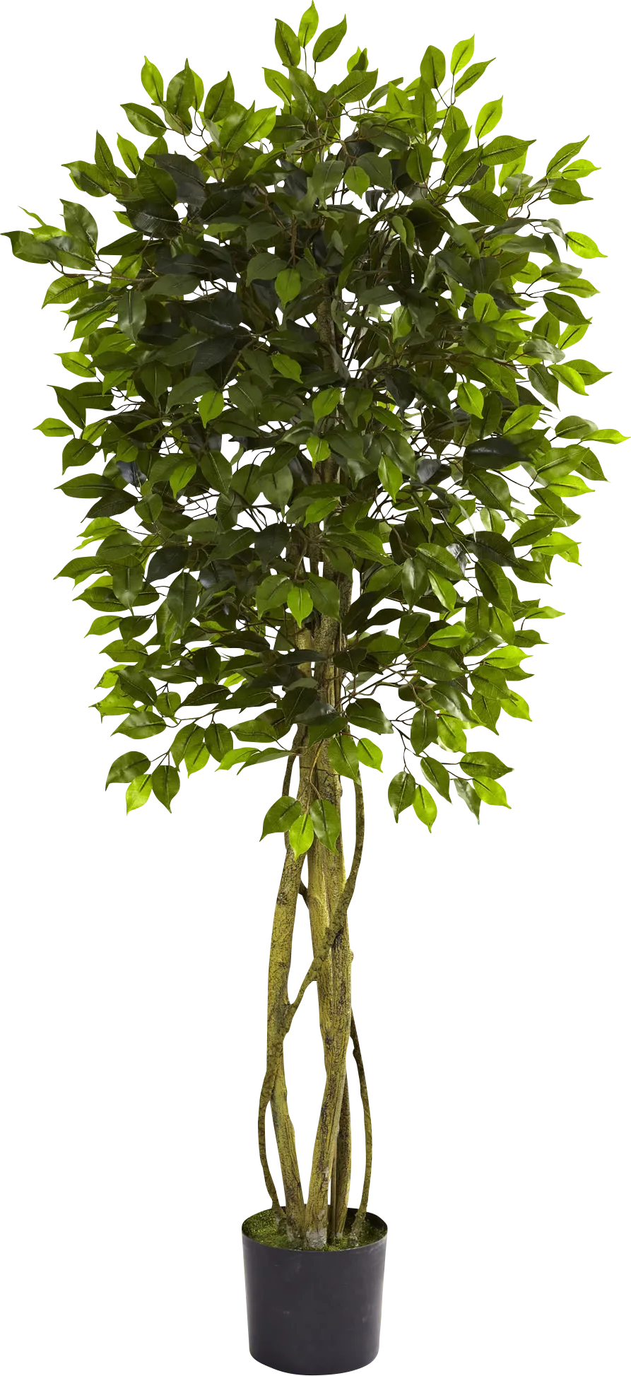 Skylia Green Ficus Indoor/Outdoor Silk Tree - Image 1