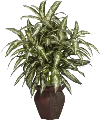 Zekiel Green Aglaonema Silk Plant