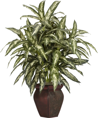 Zekiel Green Aglaonema Silk Plant