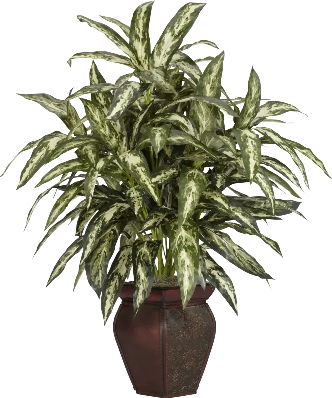 Zekiel Green Aglaonema Silk Plant