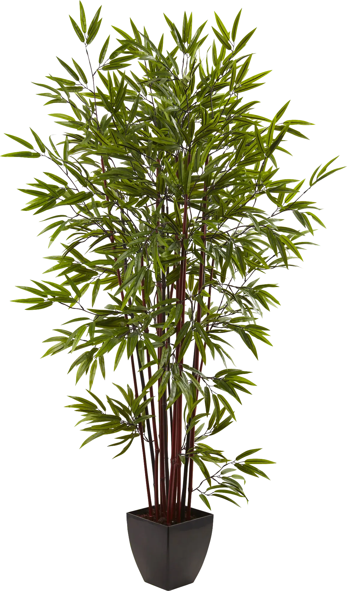 Kaysen Green Bamboo Silk Tree - Thumbnail - Image 1