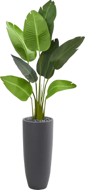 Myanna Green Palm Silk Tree