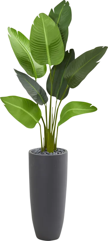 Myanna Green Palm Silk Tree