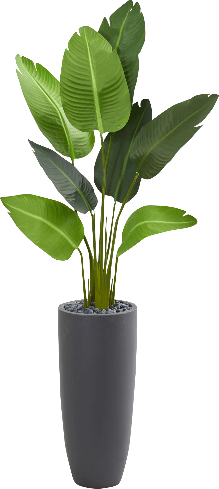 Myanna Green Palm Silk Tree