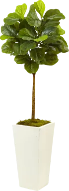 Saira Green Fiddle Leaf Silk Tree