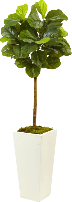 Saira Green Fiddle Leaf Silk Tree
