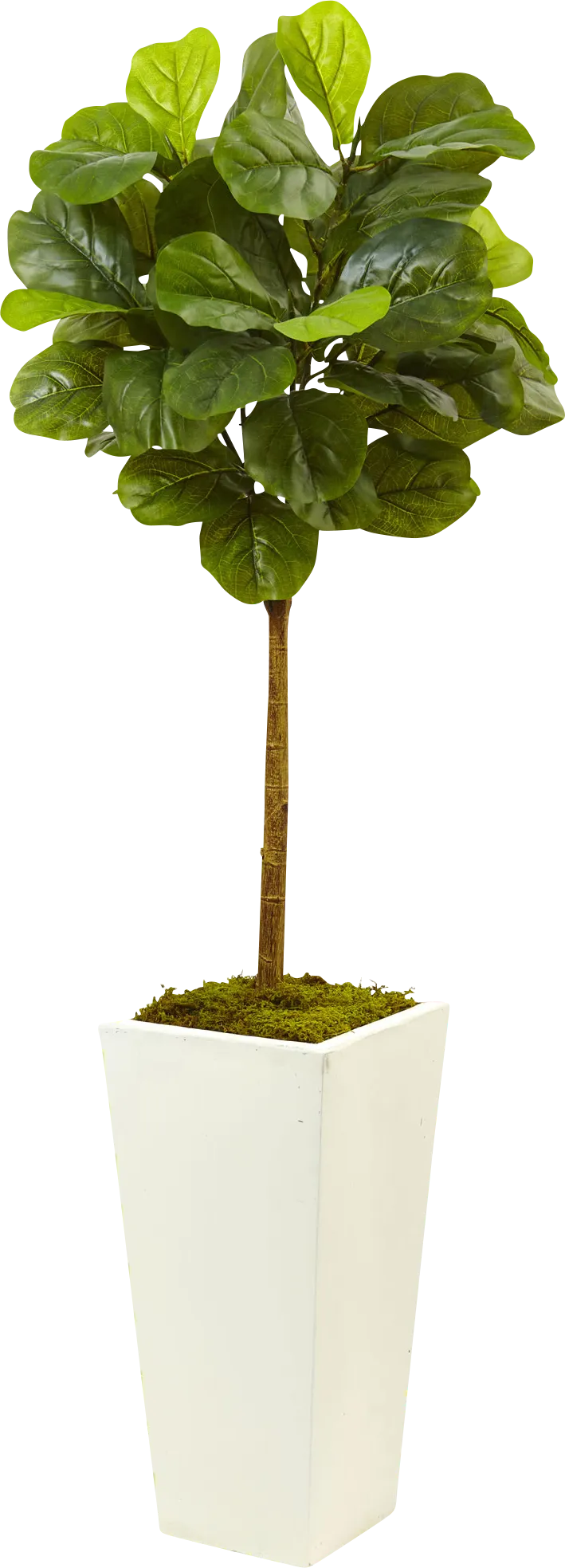 Saira Green Fiddle Leaf Silk Tree - Image 1