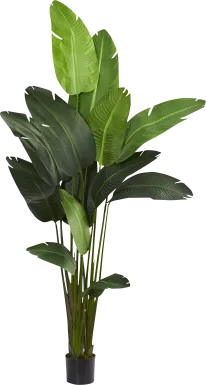 Malaki Green Palm Silk Tree