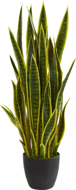 Tiesha Green Sansevieria Silk Plant