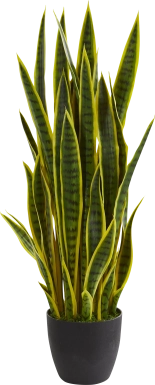Tiesha Green Sansevieria Silk Plant