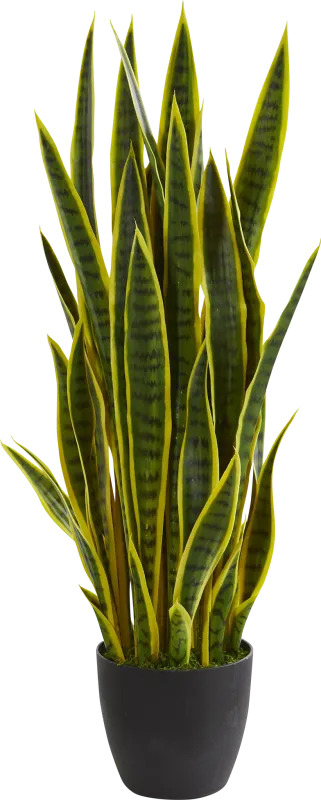 Tiesha Green Sansevieria Silk Plant