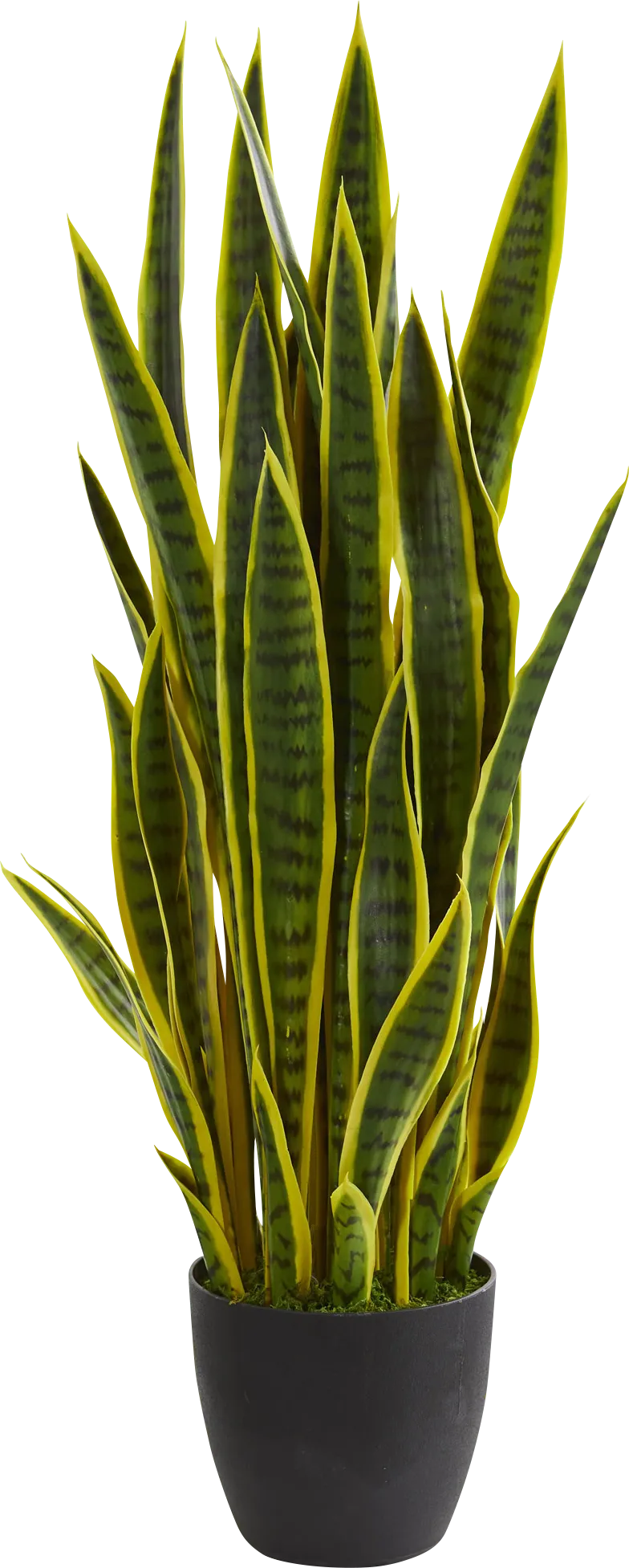 Tiesha Green Sansevieria Silk Plant - Image 1