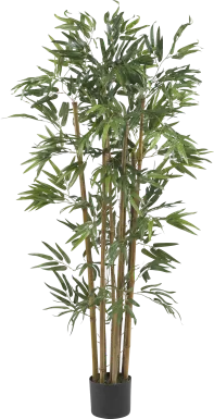 Satoru Green Bamboo Silk Tree