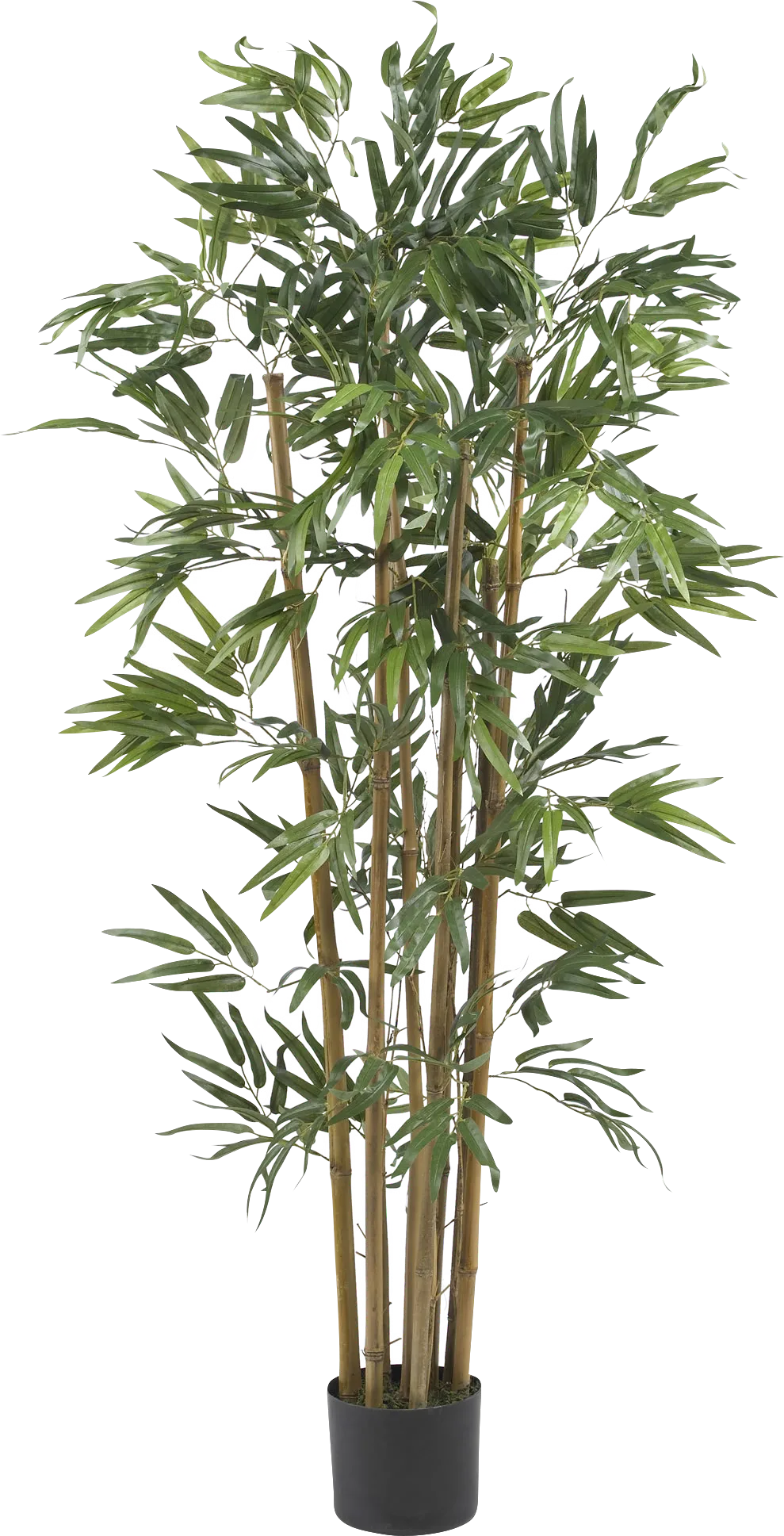 Satoru Green Bamboo Silk Tree - Image 1