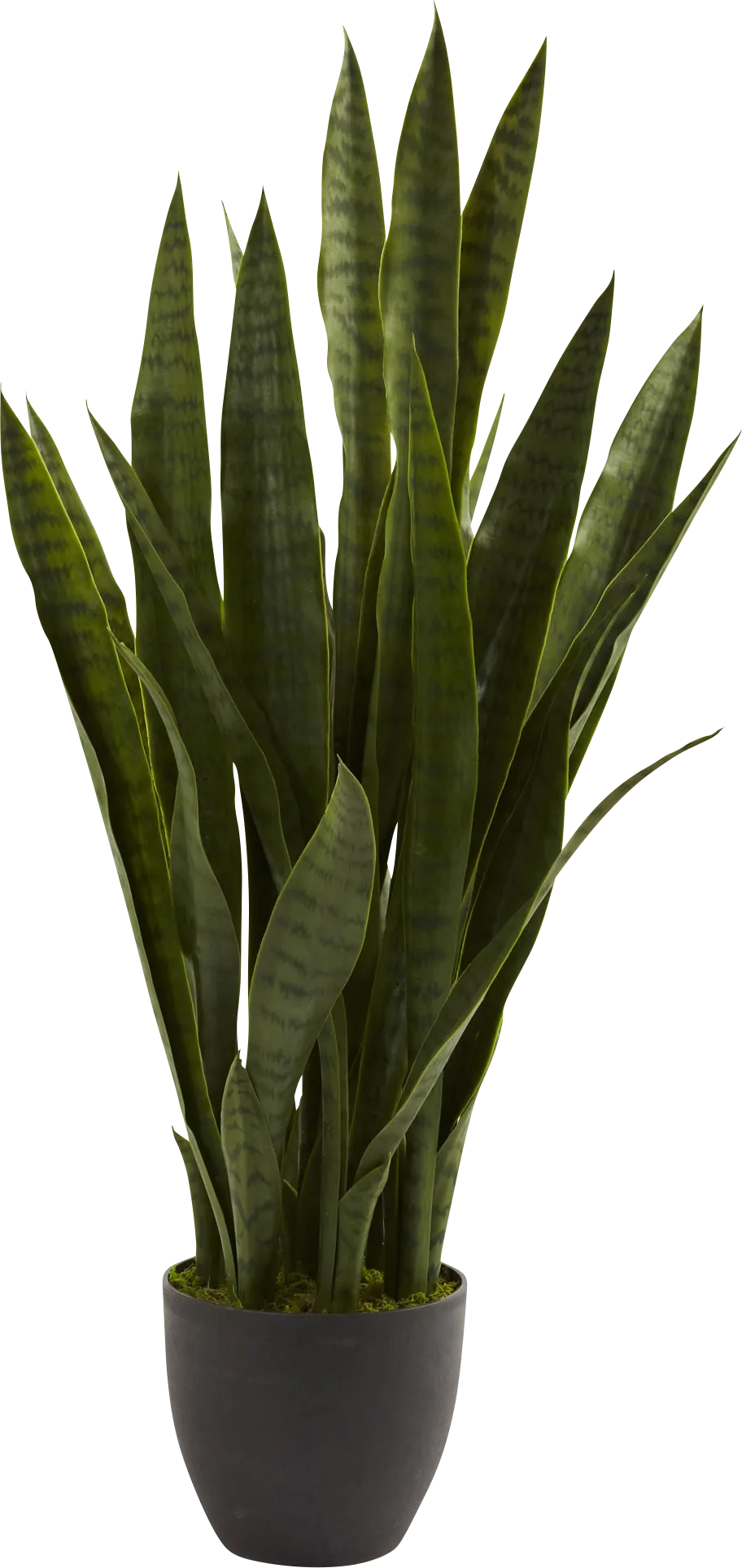 Azairah Green Sansevieria Silk Plant