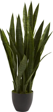 Azairah Green Sansevieria Silk Plant