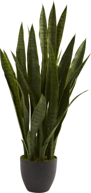 Azairah Green Sansevieria Silk Plant