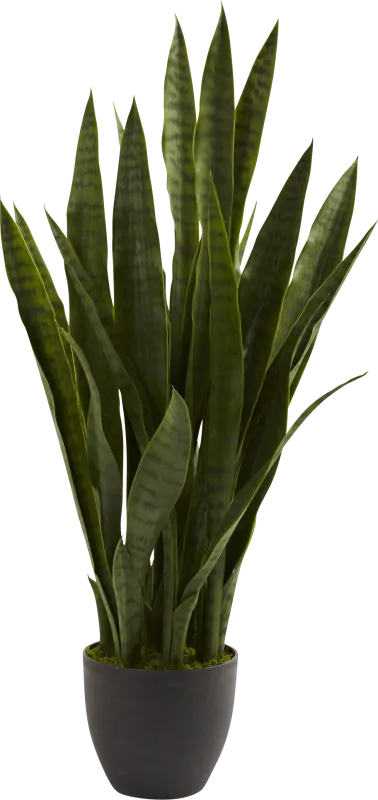 Azairah Green Sansevieria Silk Plant