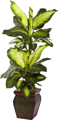 Jezelia Green Dieffenbachia Silk Plant