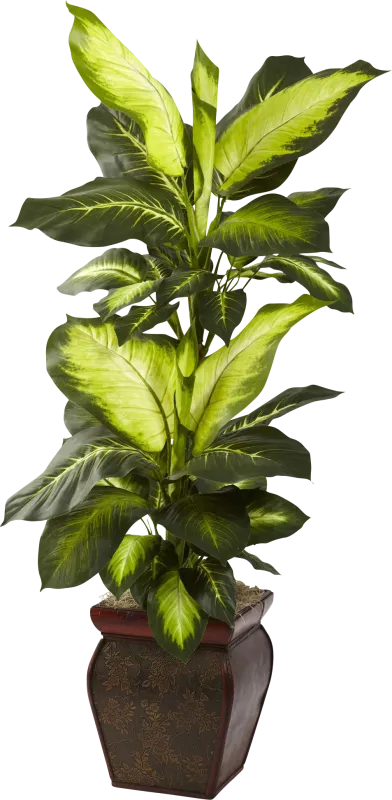 Jezelia Green Dieffenbachia Silk Plant