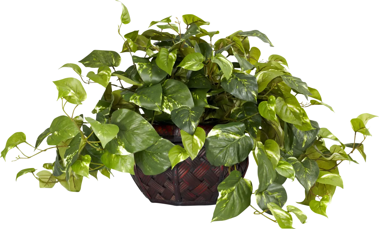 Taleah Green Pothos Silk Plant