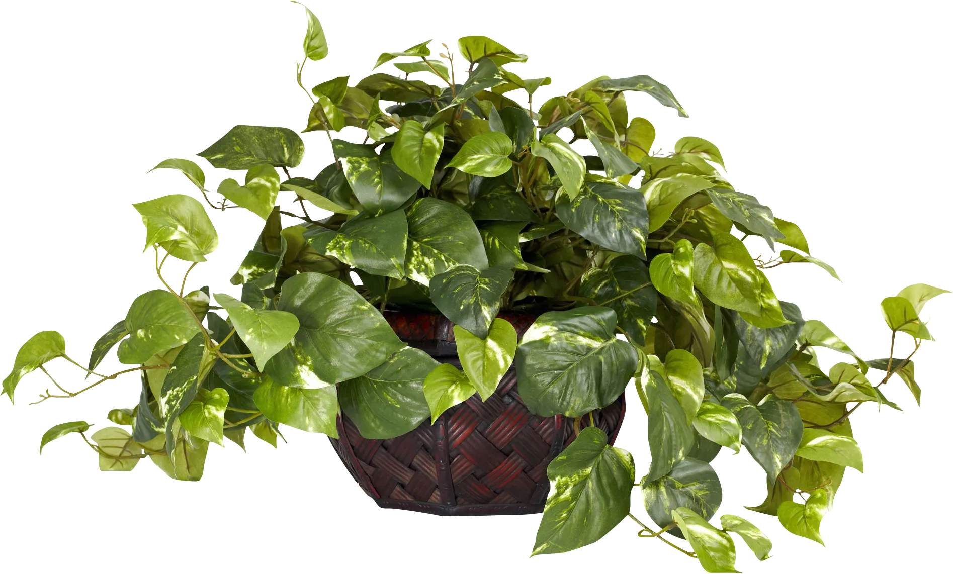 Taleah Green Pothos Silk Plant - Image 1