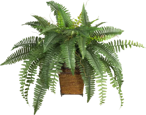 Emelia Green Fern Silk Plant