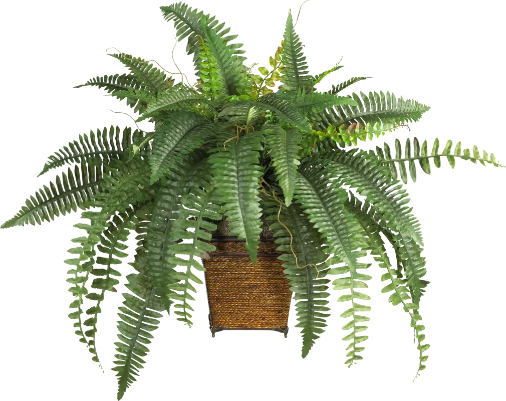 Emelia Green Fern Silk Plant