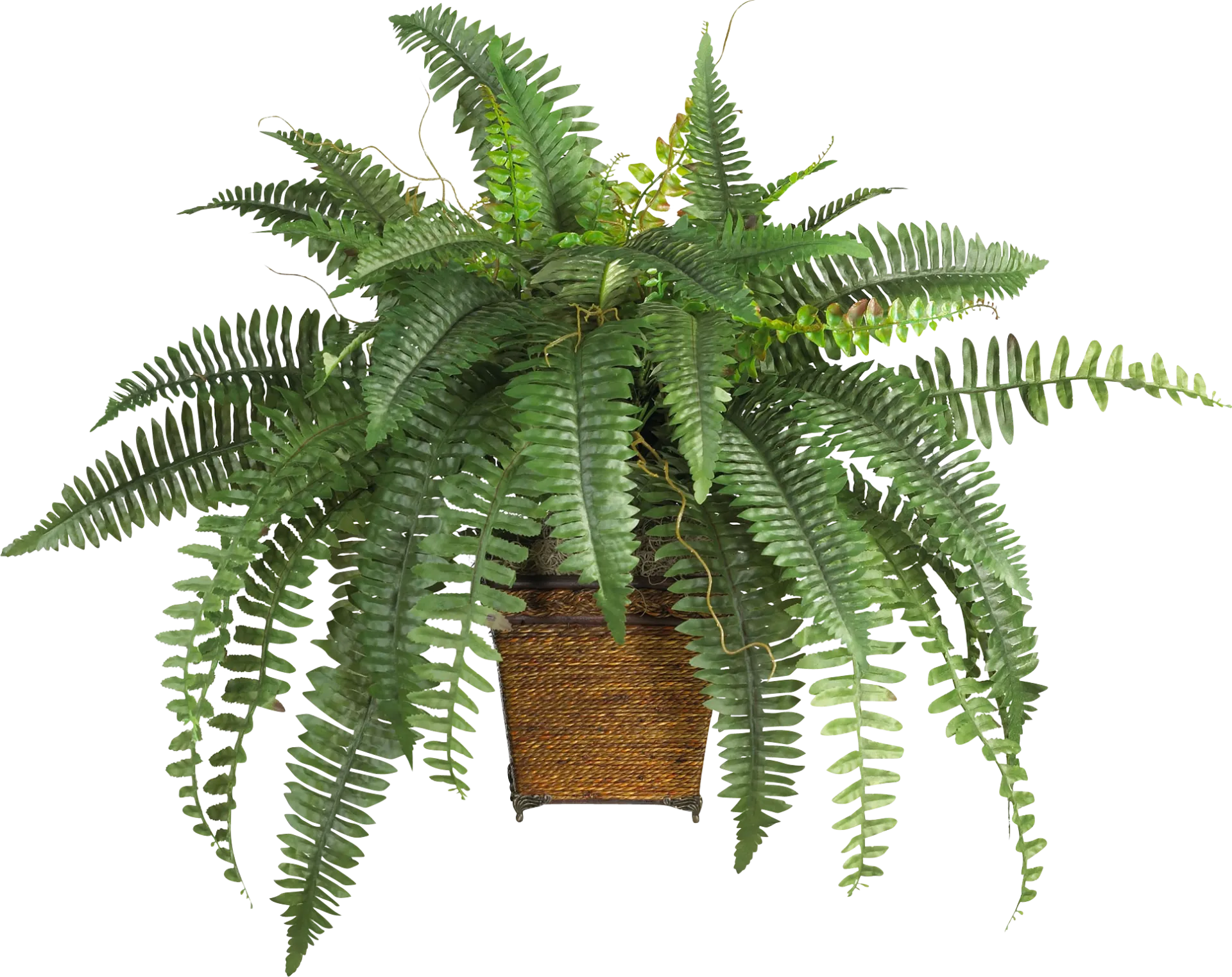 Emelia Green Fern Silk Plant - Image 1