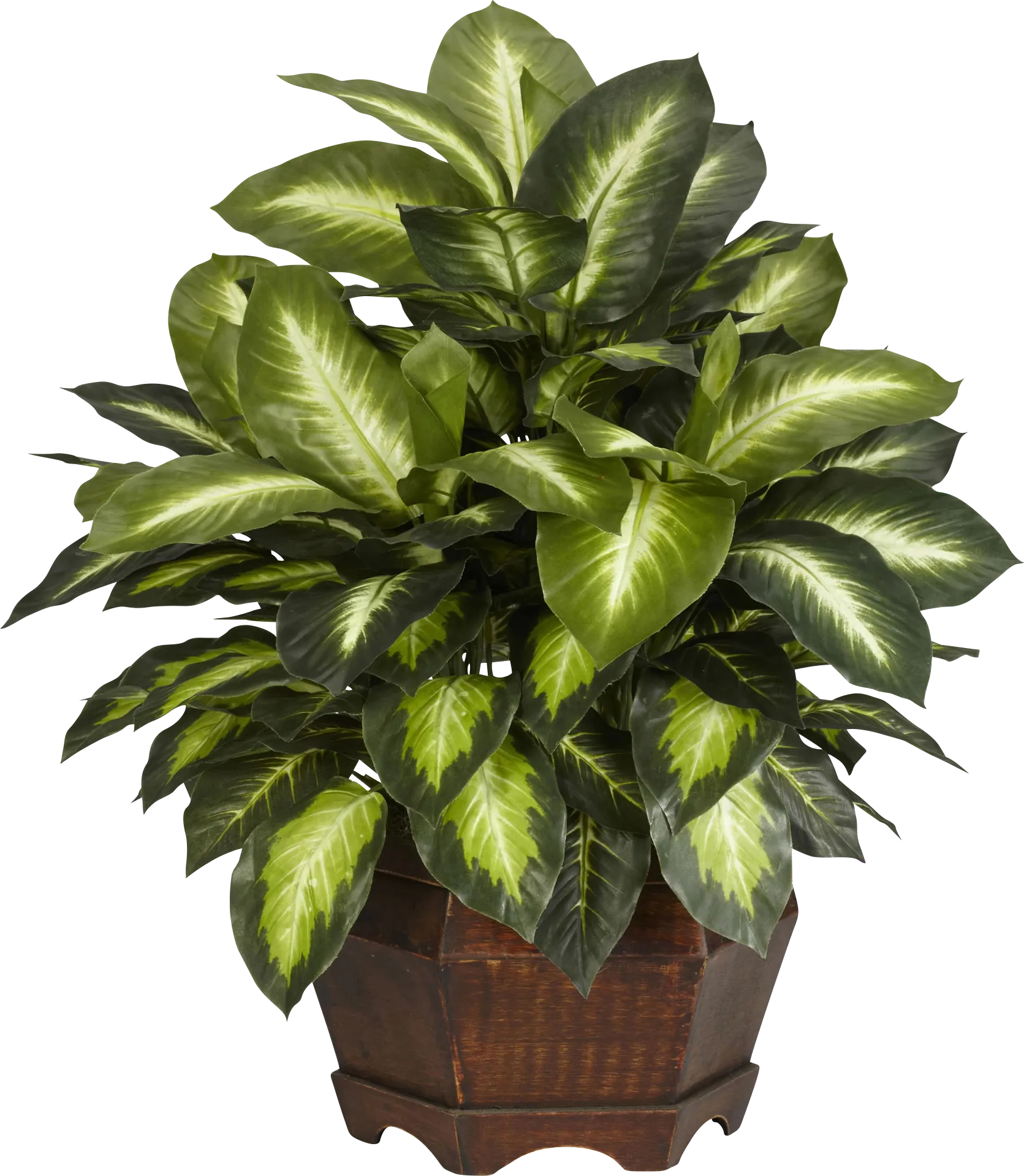 Mellie Green Dieffenbachia Silk Plant - Thumbnail - Image 1